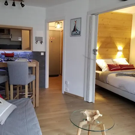 Apartment Sud -le Grepon Chamonix